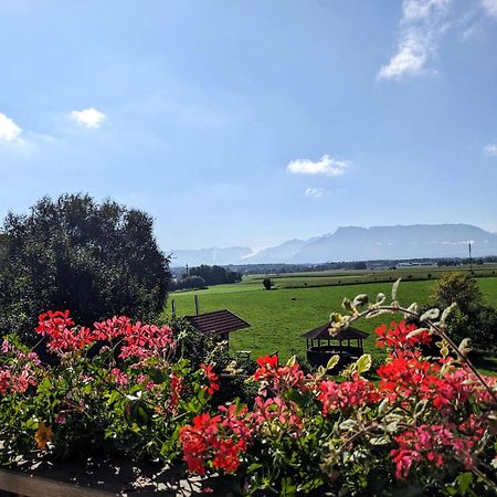 Ferienwohnungen Auf Dem Paulbauernhof Triebenbach エクステリア 写真